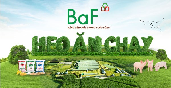 Nông nghiệp BaF (BAF) muốn chào bán cổ phiếu ra công chúng với giá thấp hơn 60% so với thị giá - Ảnh 1.