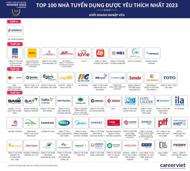 Top nhà tuyển dụng được yêu thích nhất Việt Nam gọi tên Techcombank, MoMo, Flamingo - Ảnh 3.