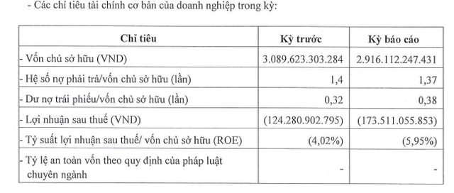 Công ty bất động sản của em trai ông Bùi Thành Nhơn tiếp tục báo lỗ, nợ phải trả gần 4.000 tỷ đồng - Ảnh 1.