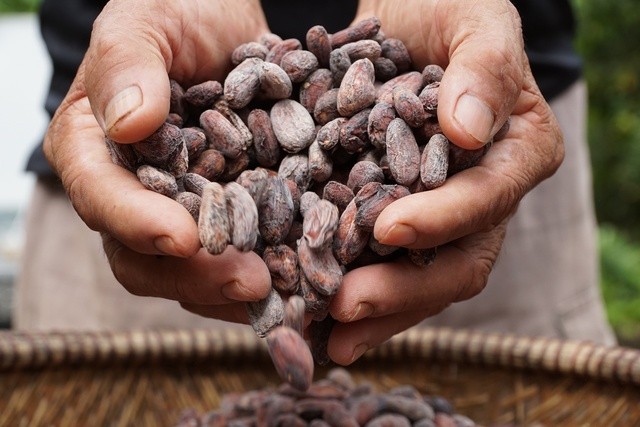 Founder DN chocolate lớn nhất miền Tây: Chocolate Việt Nam có cơ hội rộng mở trong ngách thủ công cao cấp ở thị trường toàn cầu - Ảnh 3.