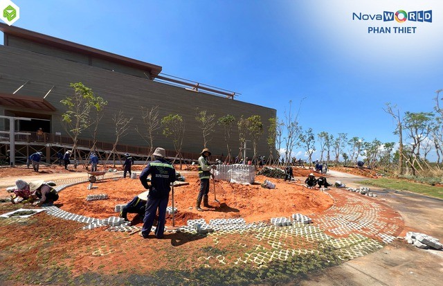 Sếp Novaland: Aqua City tại Đồng Nai, NovaWorld Phan Thiet và các dự án tại TPHCM được ưu tiên tháo gỡ pháp lý, đang thi công trở lại - Ảnh 1.