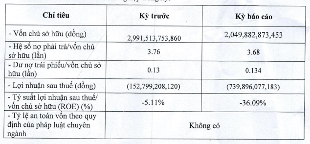 bb-power-holdings-cua-chu-tich-vu-quang-bao-lo-rong-hon-700-ty-dong-nam-2023-1712119337.PNG