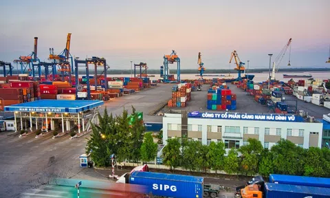 Công ty có tham vọng trở thành 'ông trùm' mới ngành cảng Hải Phòng dự chi gần 2.200 tỷ để 'ôm trọn' Nam Hải Đình Vũ